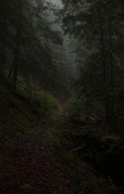 Сокрушенные 