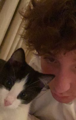 я никогда не испытывал больше нежностей,чем было с ней.|danoneflex.