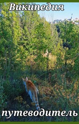 Википедия/Путеводитель 