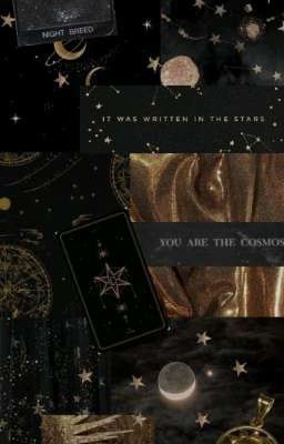 Что почитать на Wattpad?