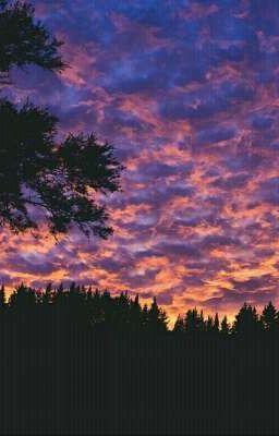 Всё может измениться...