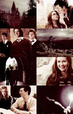 Мародёры из 1971 (Замороженно)