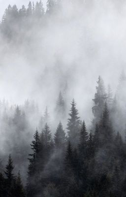 /Дурманящие цветы\