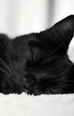 Доброе утро!