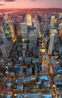 Что стоит выжить в Лос-Анджелесе?