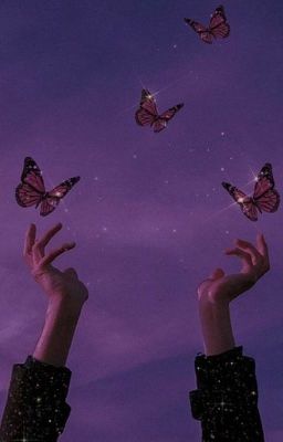 <•Санта Барбара НП•>