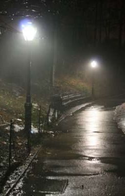 Парк освещаемый лунным взглядом (ГПД) 