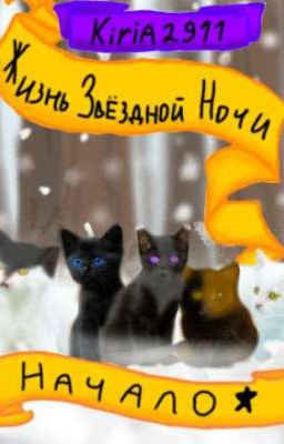Жизнь Звёздной ночи. Начало.