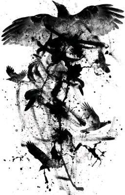 Вороны. Белый или Чёрный?