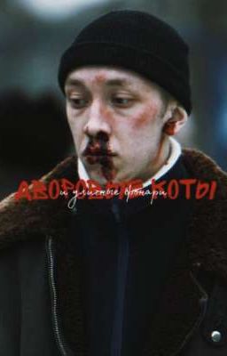 Дворовые коты|зима 