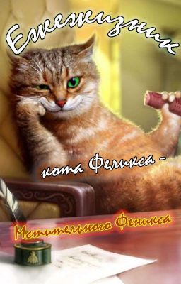Ежежизник кота Феликса