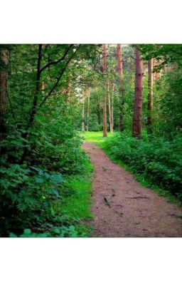 Любовь на продажу 