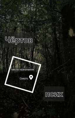 Чёртов псих