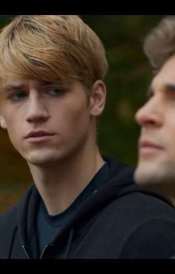 Друзья или враги?