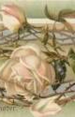 Венец из роз