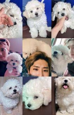 я ненавижу тебя так сильно как и люблю