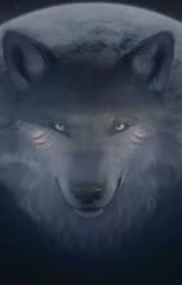 Возвращение волка  Волки Блэк Хиллс - 1