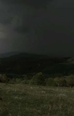 | Как Жаль | | Бергром |