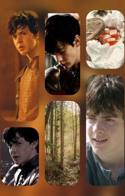 Ночная Луна 