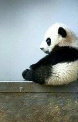 Снежинка Счастья