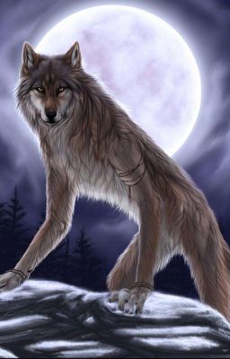 истинная любовь