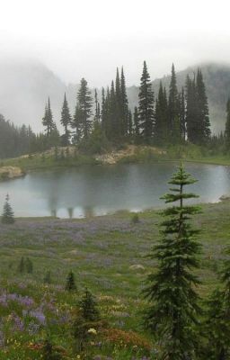 Записки об охотниках