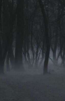 |страшные истории|