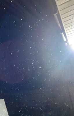 Пошлый учитель биологии 