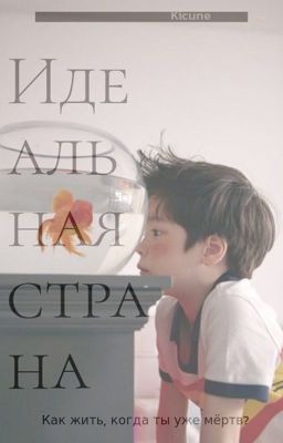 Идеальная страна 