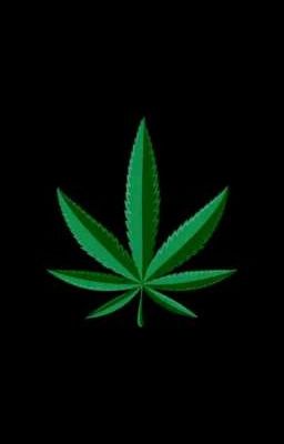 ♪ Ошибочная разлука ♪