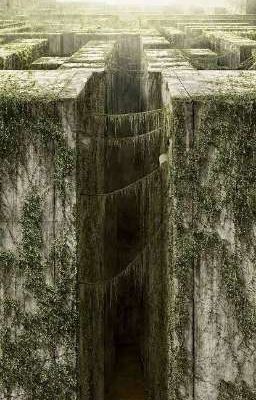 Парень в лаберинте 