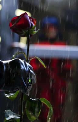 Под фонарем на мостовой.