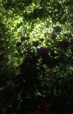 Момент умирающей смерти