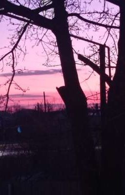 Любовь во мне