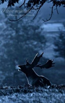 Саша и Ледянка