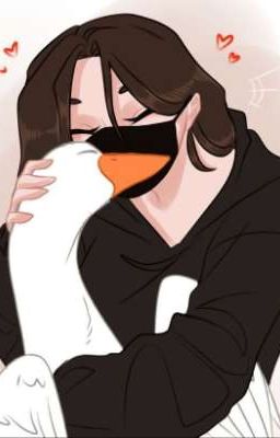 Любовь или жизнь