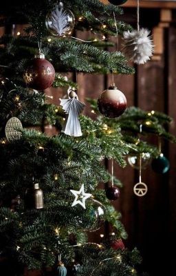 История одного свитера и очков