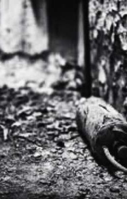 Нулевой цикл