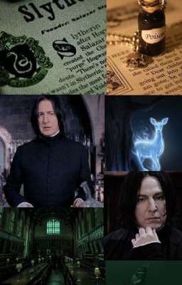 Мой любимый ассистент.