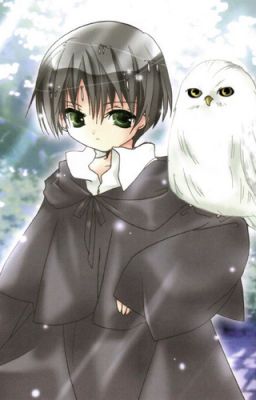 Гарри Грейнджер, узник экрана