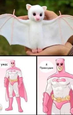 хочем узнать ваше мнение 