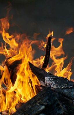 Финист-ясный сокол. Сказка на новый лад.