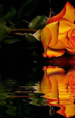 Школа-Ла ла