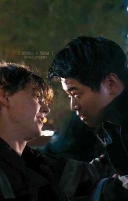 Лабиринт любви