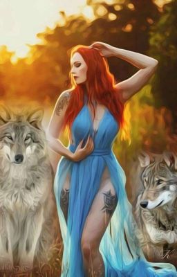 Волки по соседству