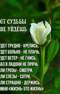 Приключения т/И