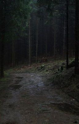 Доброй ночи, милая