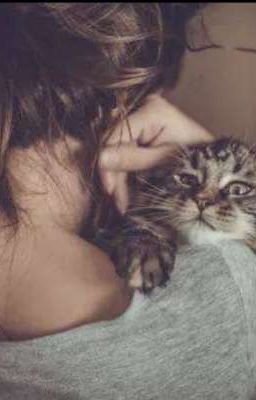 Секрет животных