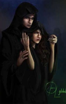 Принять судьбу, Ну или же как послать Дамблдора (Драмиона) 