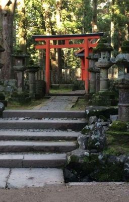 Стая: Вампиры 